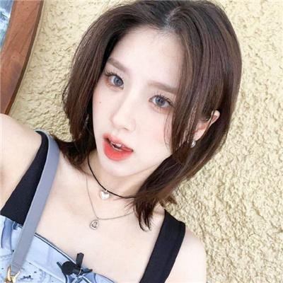 莫西干回到故乡